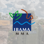 PROCESSO SELETIVO IBAMA – BRIGADA DE INCÊNDIO: EDITAL PUBLICADO