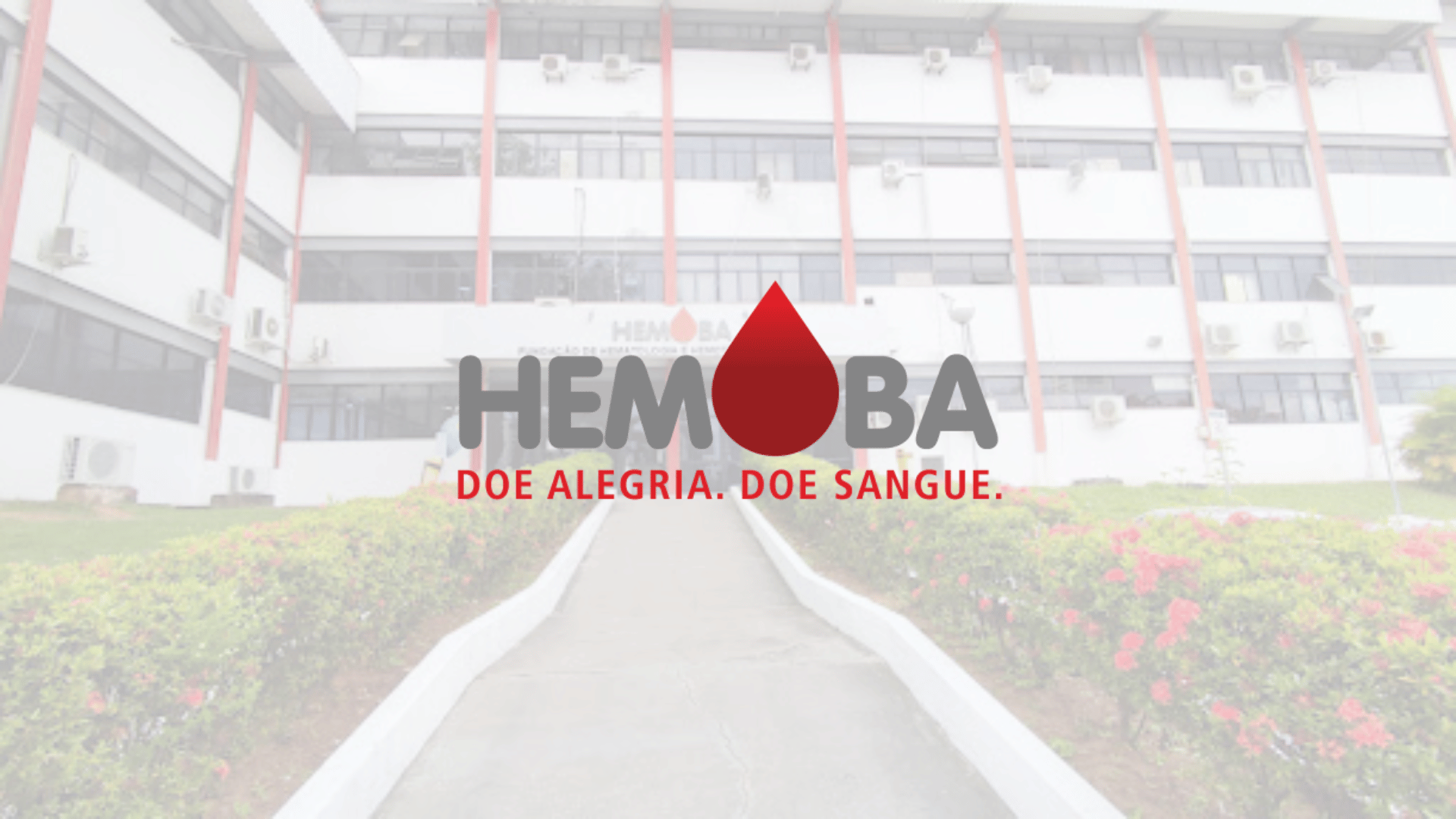 HEMOBA