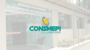 CONSMEPI